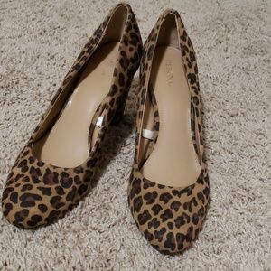 High Heels Leopard Print